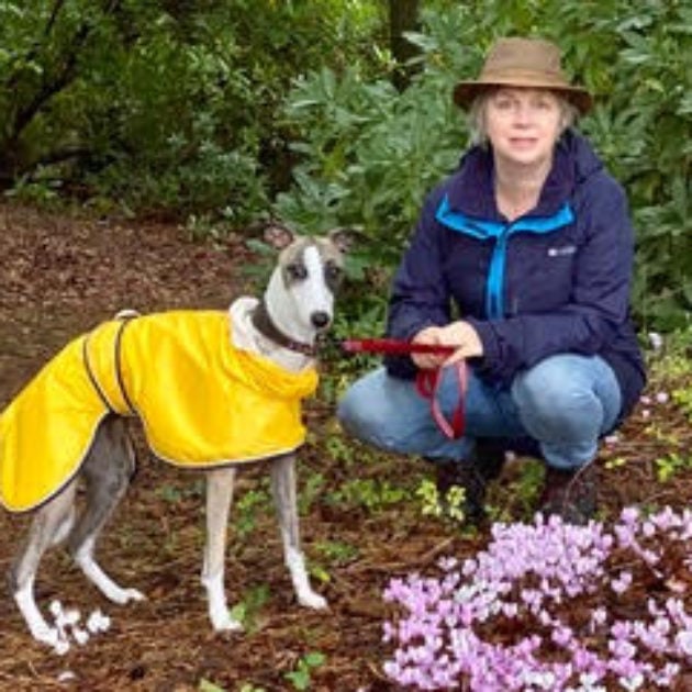 All Paula Brackston Books