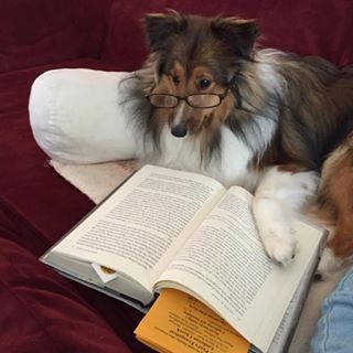 Historical Nuggets Research Collie

